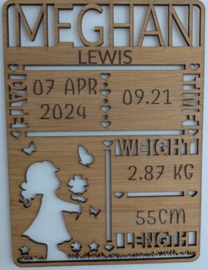 Personalised Birth Stat Plaque
